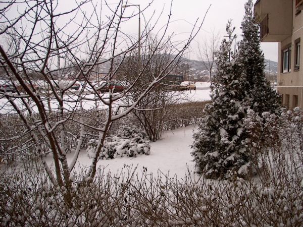 2005 janurjban leesett a tl els hava. A kp a hzunk mgtt kszlt.